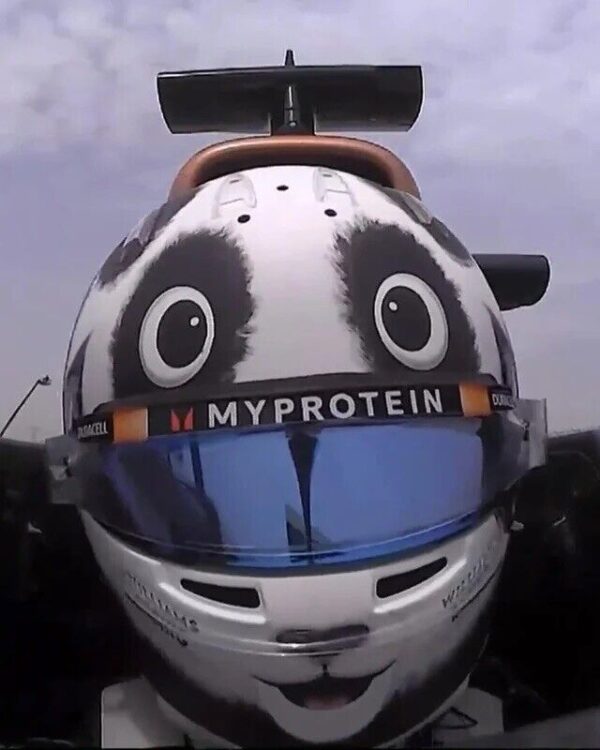 Alex Albon 2024 China Panda 1:2 Special Edition Mini Helmet - Image 2